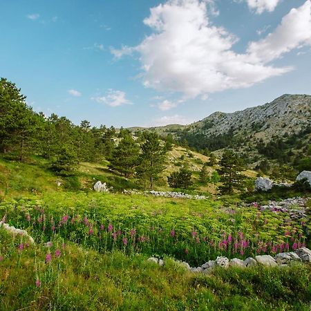 Apartman Magdalena Daire Makarska Dış mekan fotoğraf