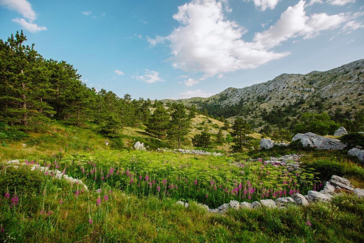 Apartman Magdalena Daire Makarska Dış mekan fotoğraf